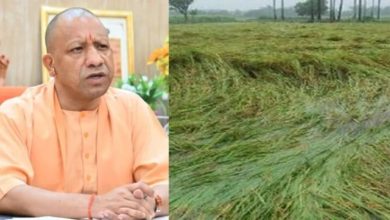 मुख्यमंत्री योगी आदित्यनाथ की ओर से उत्तर प्रदेश के बाढ़ और अतिवृष्टि प्रभावित किसानों को फसल नुकसान की भरपाई के लिए 483 करोड़ रुपये की सहायता देने की घोषणा।