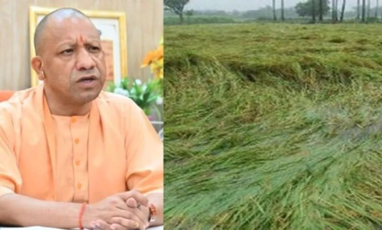 मुख्यमंत्री योगी आदित्यनाथ की ओर से उत्तर प्रदेश के बाढ़ और अतिवृष्टि प्रभावित किसानों को फसल नुकसान की भरपाई के लिए 483 करोड़ रुपये की सहायता देने की घोषणा।
